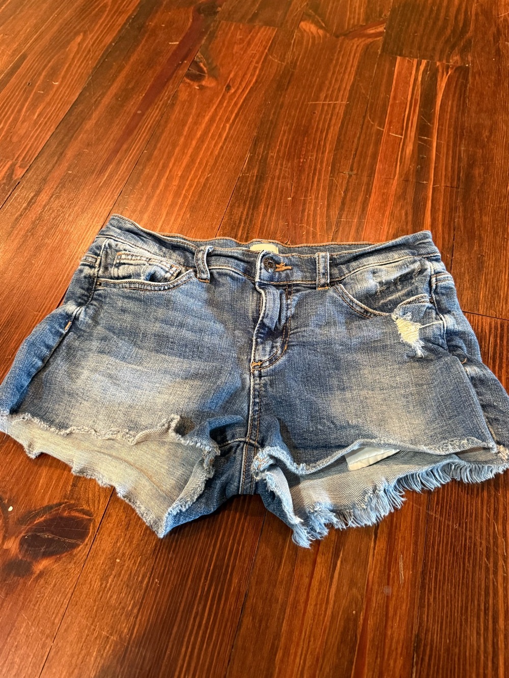 Sneakpeak Casual Distressed Women's Denim Shorts
